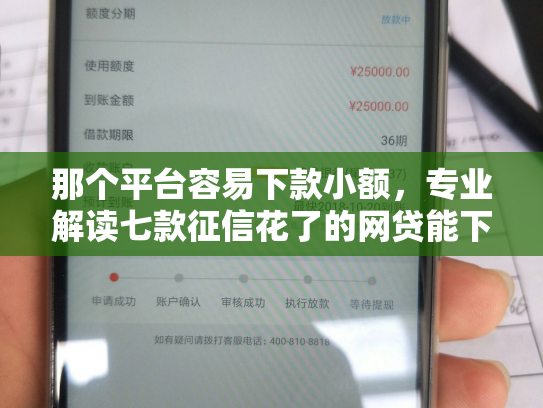 那个平台容易下款小额，专业解读七款征信花了的网贷能下款吗