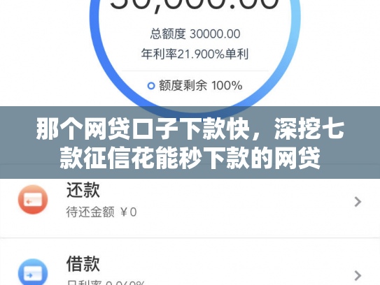 那个网贷口子下款快，深挖七款征信花能秒下款的网贷