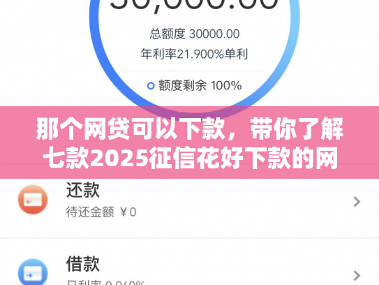 那个网贷可以下款，带你了解七款2025征信花好下款的网贷