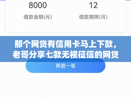 那个网贷有信用卡马上下款，老哥分享七款无视征信的网贷必下款app