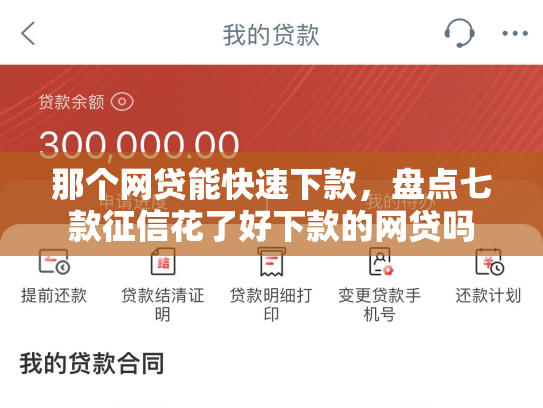 那个网贷能快速下款，盘点七款征信花了好下款的网贷吗