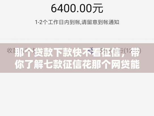 那个贷款下款快不看征信，带你了解七款征信花那个网贷能下款