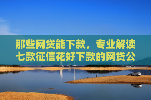 那些网贷能下款，专业解读七款征信花好下款的网贷公司