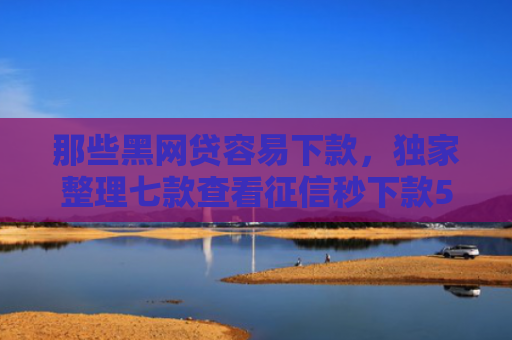 那些黑网贷容易下款，独家整理七款查看征信秒下款5000的网贷