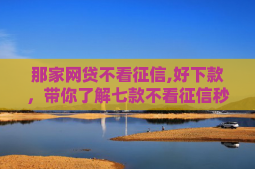 那家网贷不看征信,好下款，带你了解七款不看征信秒下款的网贷6