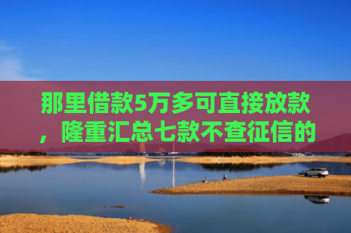 那里借款5万多可直接放款，隆重汇总七款不查征信的网贷也不下款