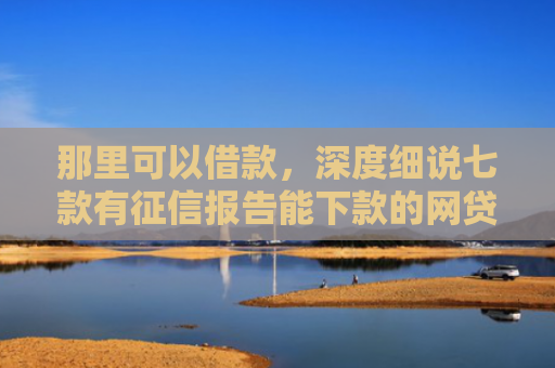 那里可以借款，深度细说七款有征信报告能下款的网贷