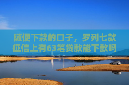 随便下款的口子，罗列七款征信上有63笔贷款能下款吗