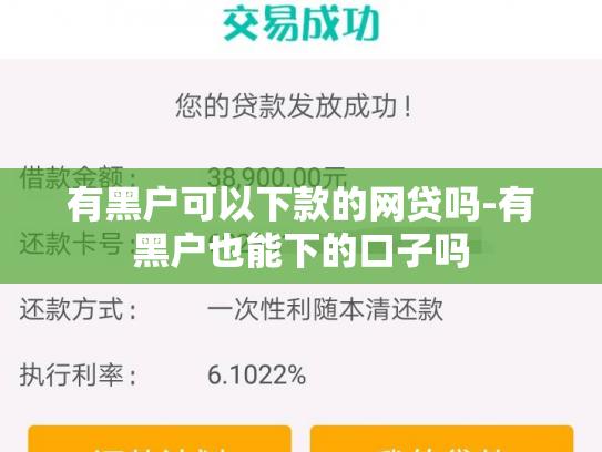 有黑户可以下款的网贷吗-有黑户也能下的口子吗