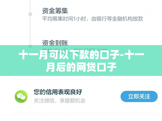 十一月可以下款的口子-十一月后的网贷口子