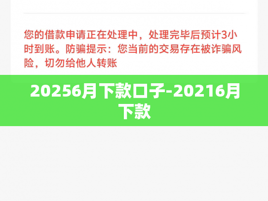 20256月下款口子-20216月下款