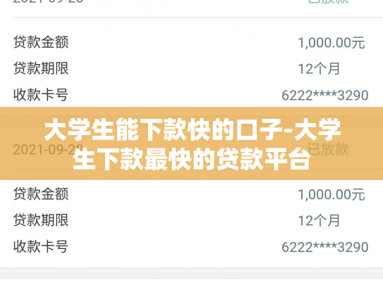大学生能下款快的口子-大学生下款最快的贷款平台