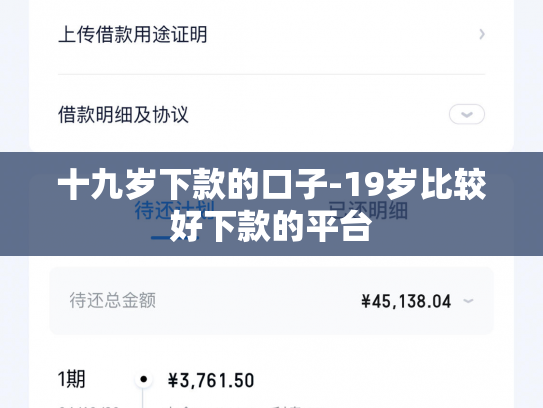 十九岁下款的口子-19岁比较好下款的平台