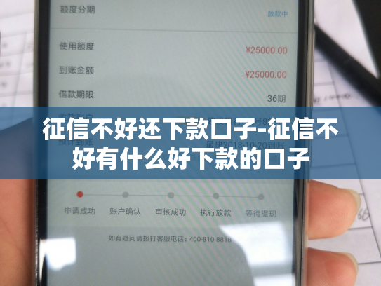 征信不好还下款口子-征信不好有什么好下款的口子