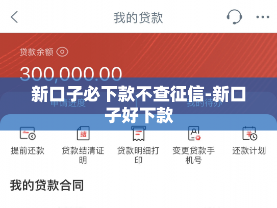 新口子必下款不查征信-新口子好下款