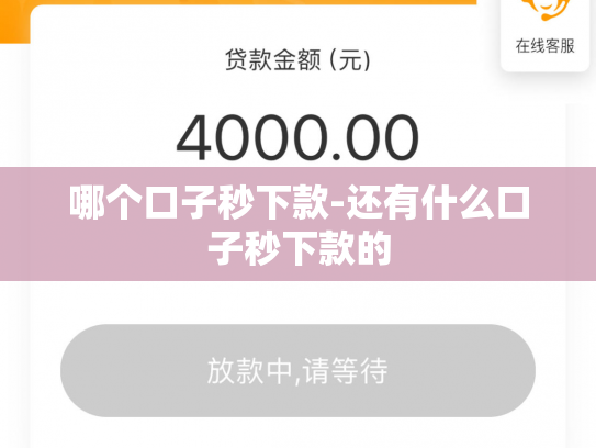 哪个口子秒下款-还有什么口子秒下款的