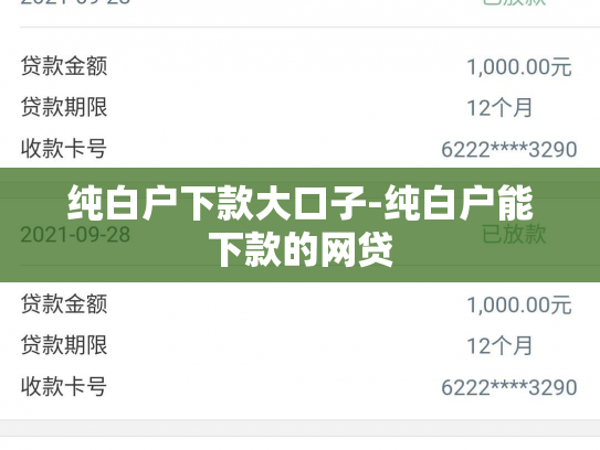 纯白户下款大口子-纯白户能下款的网贷