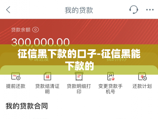 征信黑下款的口子-征信黑能下款的
