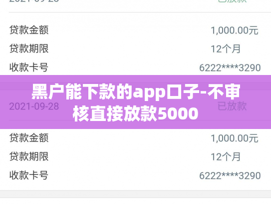 黑户能下款的app口子-不审核直接放款5000