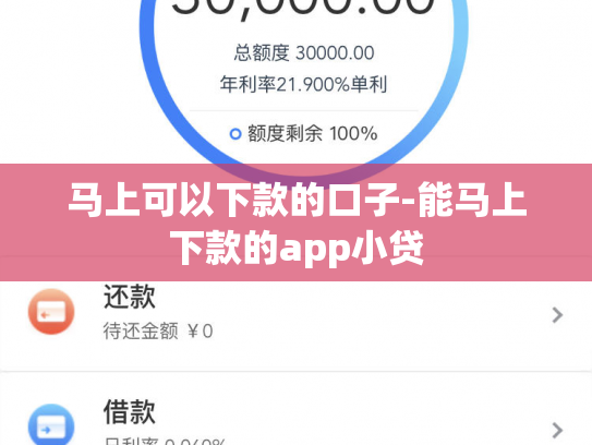 马上可以下款的口子-能马上下款的app小贷