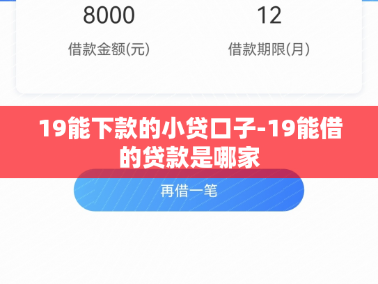 19能下款的小贷口子-19能借的贷款是哪家