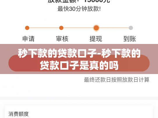 秒下款的贷款口子-秒下款的贷款口子是真的吗