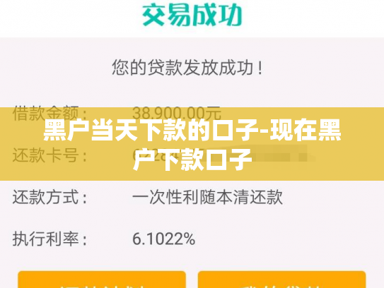 黑户当天下款的口子-现在黑户下款口子