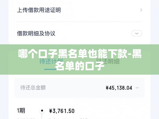 哪个口子黑名单也能下款-黑名单的口子