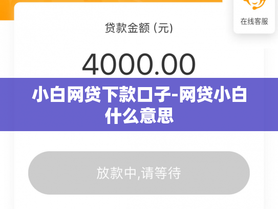 小白网贷下款口子-网贷小白什么意思