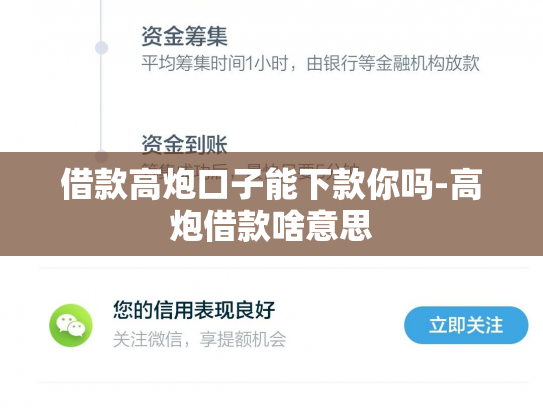 借款高炮口子能下款你吗-高炮借款啥意思