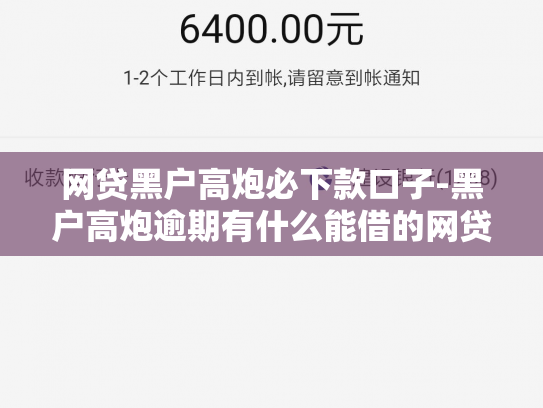 网贷黑户高炮必下款口子-黑户高炮逾期有什么能借的网贷