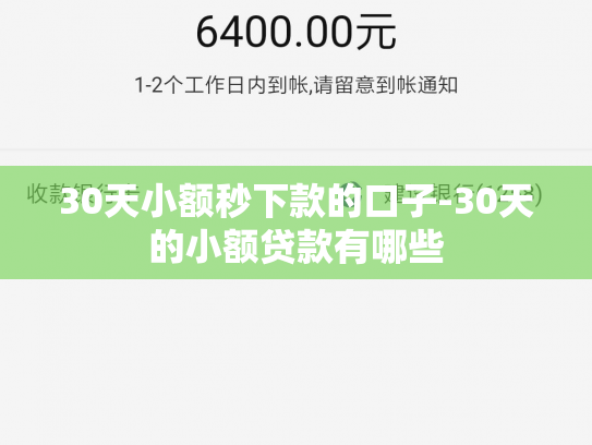 30天小额秒下款的口子-30天的小额贷款有哪些