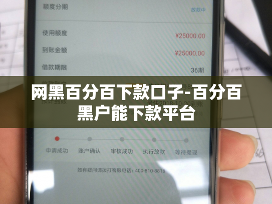 网黑百分百下款口子-百分百黑户能下款平台