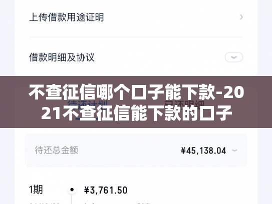 不查征信哪个口子能下款-2021不查征信能下款的口子