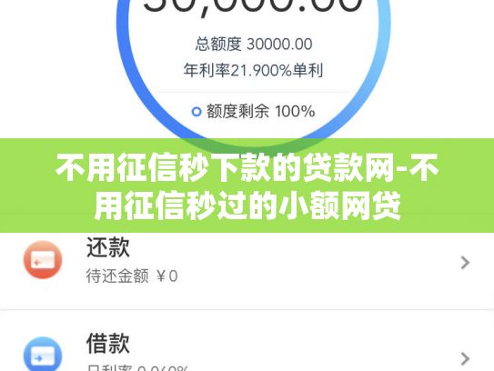 不用征信秒下款的贷款网-不用征信秒过的小额网贷