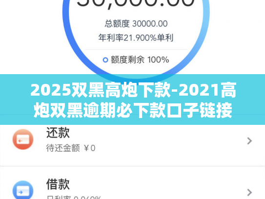 2025双黑高炮下款-2021高炮双黑逾期必下款口子链接