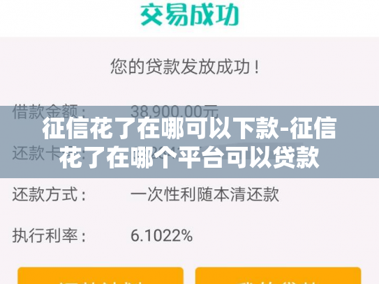 征信花了在哪可以下款-征信花了在哪个平台可以贷款