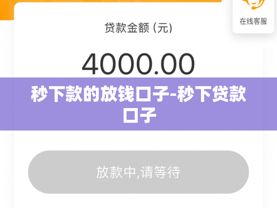 秒下款的放钱口子-秒下贷款口子