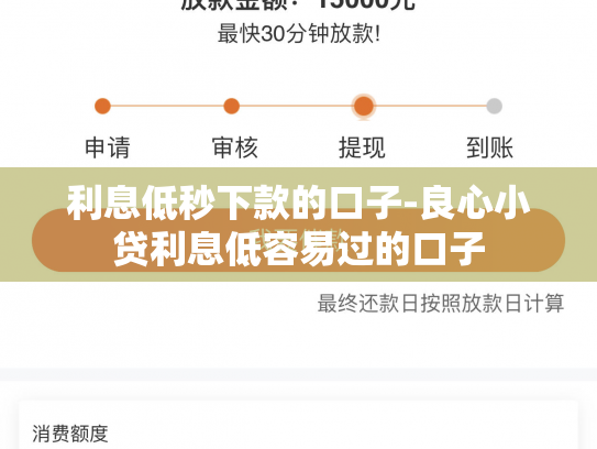 利息低秒下款的口子-良心小贷利息低容易过的口子
