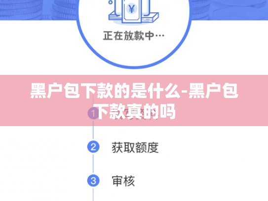 黑户包下款的是什么-黑户包下款真的吗