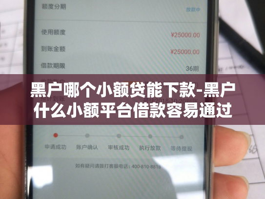 黑户哪个小额贷能下款-黑户什么小额平台借款容易通过