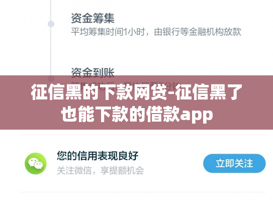 征信黑的下款网贷-征信黑了也能下款的借款app