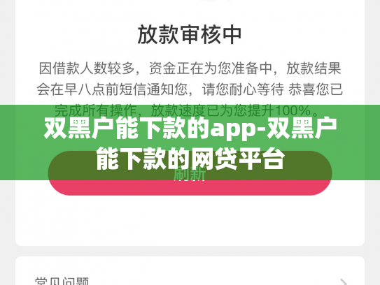 双黑户能下款的app-双黑户能下款的网贷平台