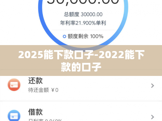 2025能下款口子-2022能下款的口子