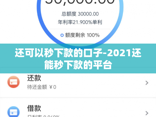 还可以秒下款的口子-2021还能秒下款的平台