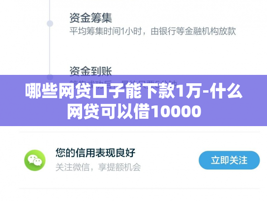 哪些网贷口子能下款1万-什么网贷可以借10000