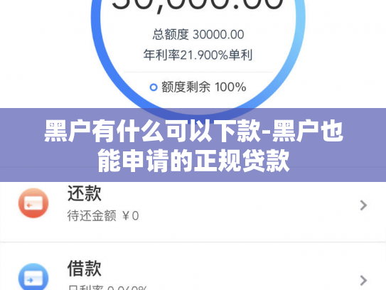 黑户有什么可以下款-黑户也能申请的正规贷款