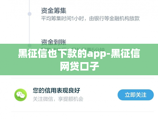 黑征信也下款的app-黑征信网贷口子