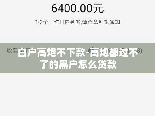 白户高炮不下款-高炮都过不了的黑户怎么贷款