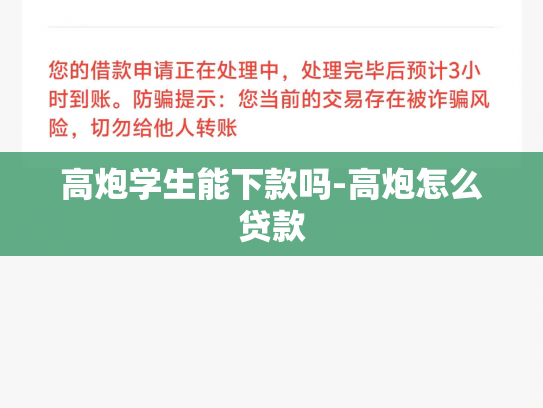 高炮学生能下款吗-高炮怎么贷款